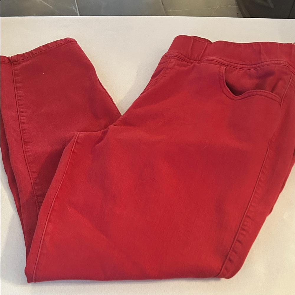 Torrid Ref Skinny Jeggings Stretch Front and Back Pockets sz 2S 2X petite